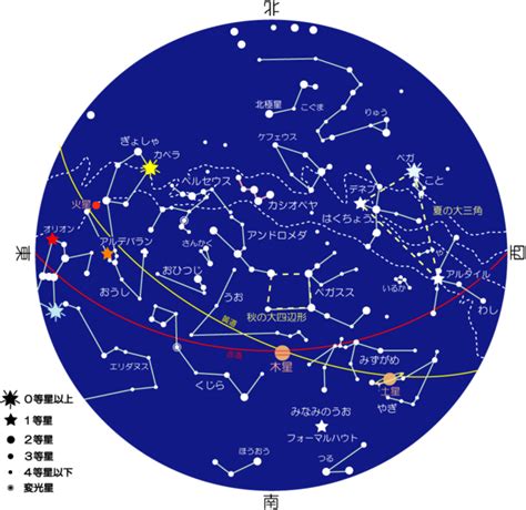 星座 11月22日